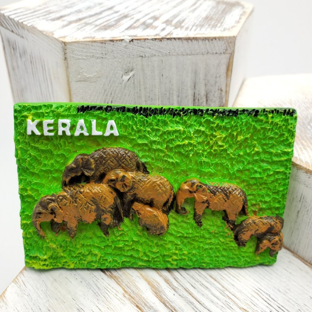Kerala India Travel Fridge Magnet‎ Souvenir Tourist